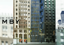 NY Yimby Rinaldi